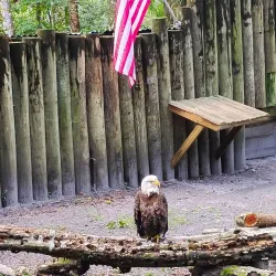 Homosassa Springs Wildlife State Park - Inverness