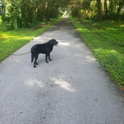 Withlacoochee State Trail - Inverness