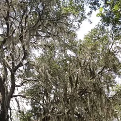 Withlacoochee State Trail - Inverness