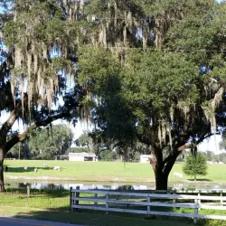 Withlacoochee State Trail - Inverness