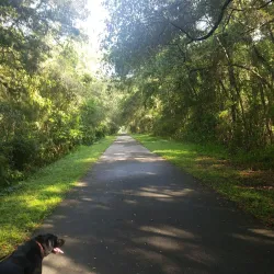 Withlacoochee State Trail - Inverness