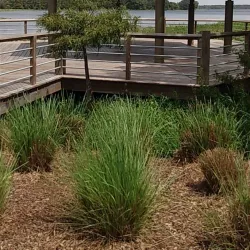 Withlacoochee State Trail - Inverness