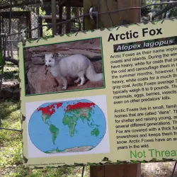 Catty Shack Ranch Wildlife Sanctuary - Jacksonville