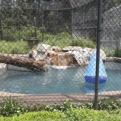 Catty Shack Ranch Wildlife Sanctuary - Jacksonville