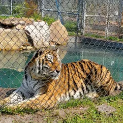 Catty Shack Ranch Wildlife Sanctuary - Jacksonville