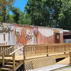 Catty Shack Ranch Wildlife Sanctuary - Jacksonville