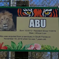 Catty Shack Ranch Wildlife Sanctuary - Jacksonville