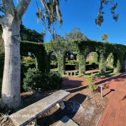 Cummer Museum of Art and Gardens - Jacksonville