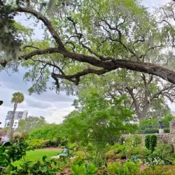 Cummer Museum of Art and Gardens - Jacksonville