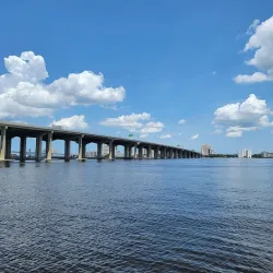 Cummer Museum of Art and Gardens - Jacksonville