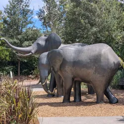 Jacksonville Zoo and Gardens - Jacksonville