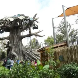 Jacksonville Zoo and Gardens - Jacksonville