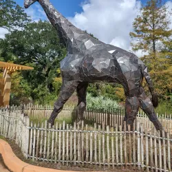 Jacksonville Zoo and Gardens - Jacksonville