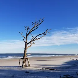 Little Talbot Island State Park - Jacksonville