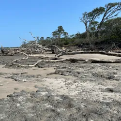 Little Talbot Island State Park - Jacksonville