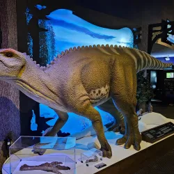 MOSH (Museum of Science and History) - Jacksonville