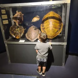 MOSH (Museum of Science and History) - Jacksonville