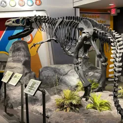 MOSH (Museum of Science and History) - Jacksonville