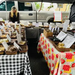 Riverside Arts Market - Jacksonville