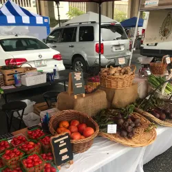 Riverside Arts Market - Jacksonville
