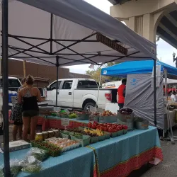 Riverside Arts Market - Jacksonville
