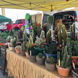 Riverside Arts Market - Jacksonville
