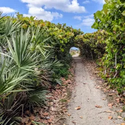 Blowing Rocks Preserve - Jupiter