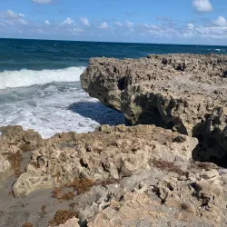 Blowing Rocks Preserve - Jupiter