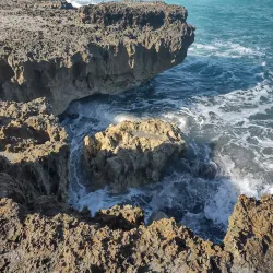 Blowing Rocks Preserve - Jupiter