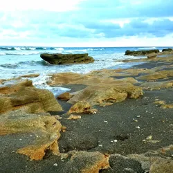 Carlin Park - Jupiter