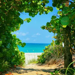 Carlin Park - Jupiter