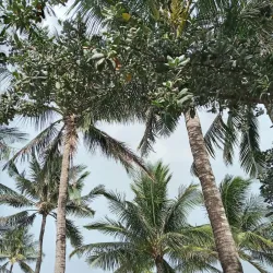 Carlin Park - Jupiter