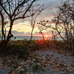 Carlin Park - Jupiter