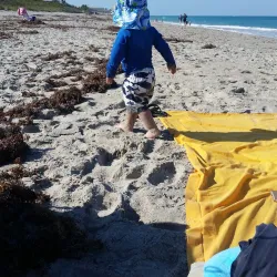 Jupiter Beach - Jupiter