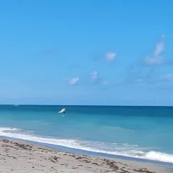 Jupiter Beach - Jupiter