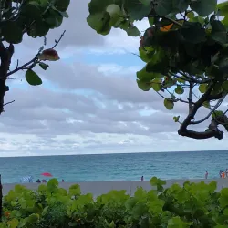 Jupiter Beach - Jupiter