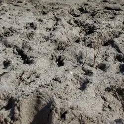 Jupiter Beach - Jupiter