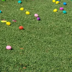 Jupiter Community Park - Jupiter