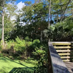 Jupiter Community Park - Jupiter