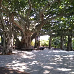 Jupiter Inlet Lighthouse & Museum - Jupiter