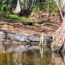 Jupiter Outdoor Center - Jupiter