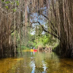 Jupiter Outdoor Center - Jupiter