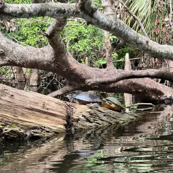 Jupiter Outdoor Center - Jupiter