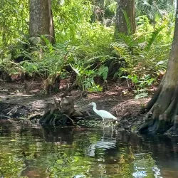 Loxahatchee River Battlefield Park - Jupiter