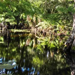 Loxahatchee River Battlefield Park - Jupiter