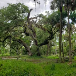 Loxahatchee River Battlefield Park - Jupiter