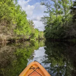 Loxahatchee River Battlefield Park - Jupiter