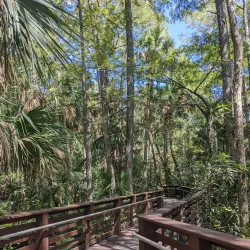 Loxahatchee River Battlefield Park - Jupiter
