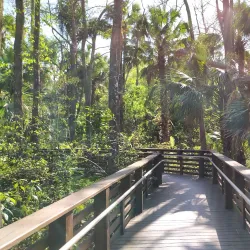 Riverbend Park - Jupiter