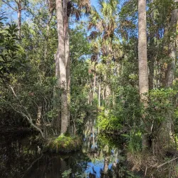 Riverbend Park - Jupiter